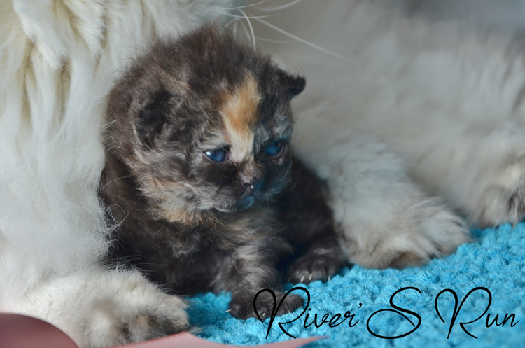 Vicky 23 janvier 2024 (10).jpg